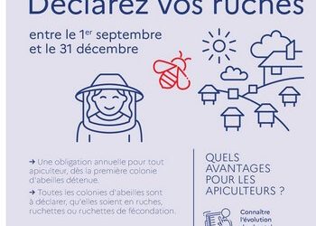Déclaration des ruches 2026